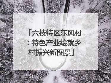 六枝特区东风村：特色产业绘就乡村振兴新图景