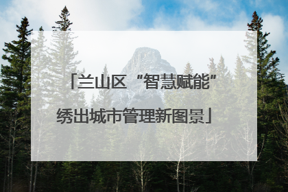 兰山区“智慧赋能”绣出城市管理新图景