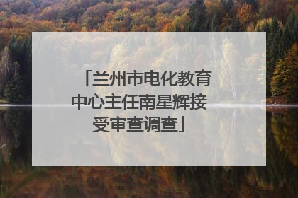 兰州市电化教育中心主任南星辉接受审查调查