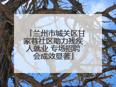 兰州市城关区甘家巷社区助力残疾人就业 专场招聘会成效显著