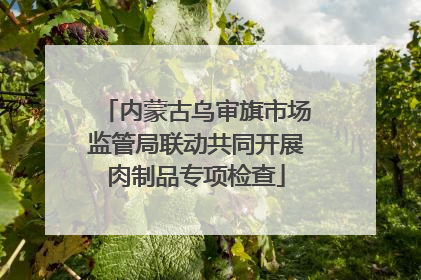 内蒙古乌审旗市场监管局联动共同开展肉制品专项检查
