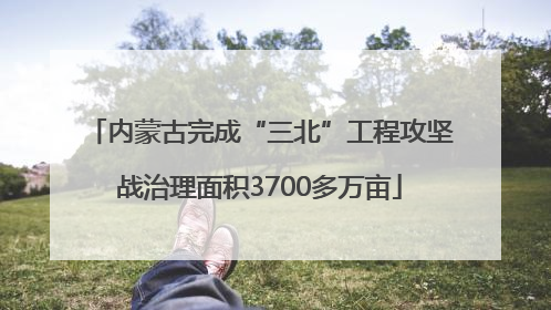 内蒙古完成“三北”工程攻坚战治理面积3700多万亩