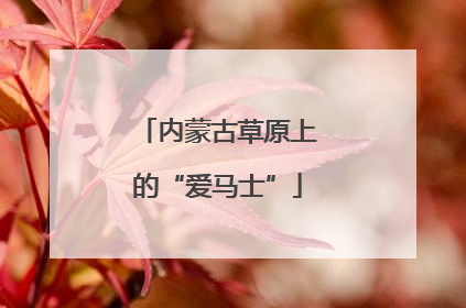 内蒙古草原上的“爱马士”