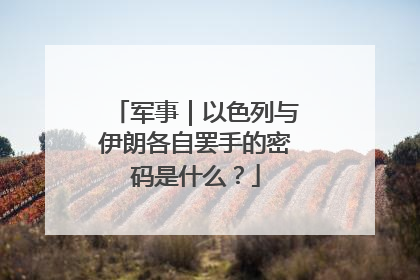 军事｜以色列与伊朗各自罢手的密码是什么？