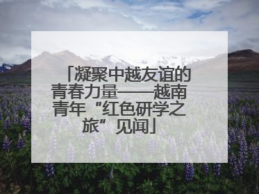 凝聚中越友谊的青春力量——越南青年“红色研学之旅”见闻