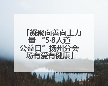凝聚向善向上力量 “5·8人道公益日”扬州分会场有爱有健康