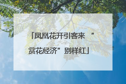 凤凰花开引客来 “赏花经济”别样红