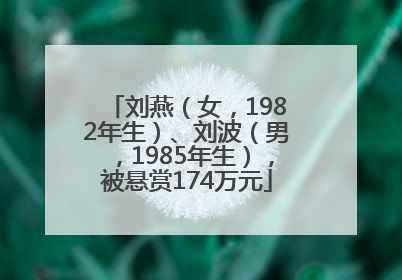 刘燕（女，1982年生）、刘波（男，1985年生），被悬赏174万元