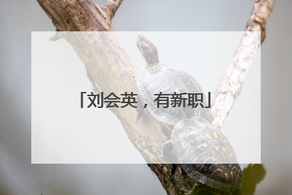 刘会英，有新职