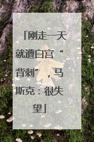 刚走一天就遭白宫“背刺”，马斯克：很失望
