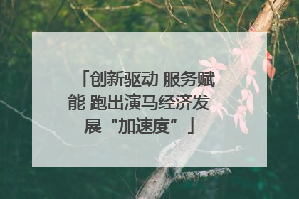 创新驱动 服务赋能 跑出演马经济发展“加速度”