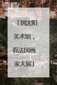 到沈阳美术馆，看法国画家大展