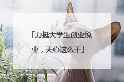 力挺大学生创业悦业，天心这么干
