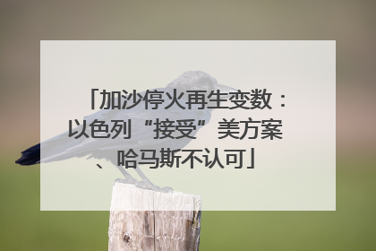 加沙停火再生变数：以色列“接受”美方案、哈马斯不认可