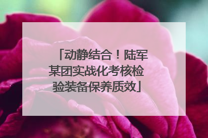 动静结合！陆军某团实战化考核检验装备保养质效