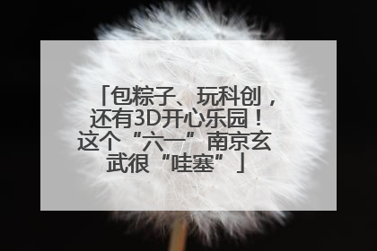 包粽子、玩科创，还有3D开心乐园！这个“六一”南京玄武很“哇塞”