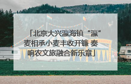 北京大兴瀛海镇“瀛”麦相承小麦丰收开镰 奏响农文旅融合新乐章