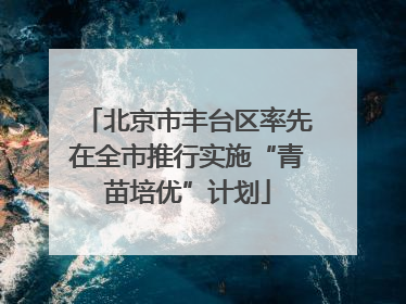 北京市丰台区率先在全市推行实施“青苗培优”计划
