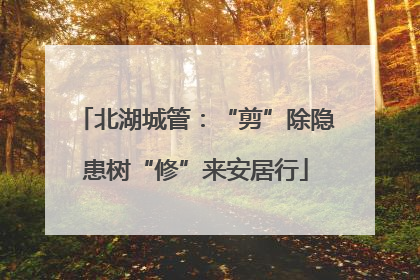 北湖城管：“剪”除隐患树“修”来安居行