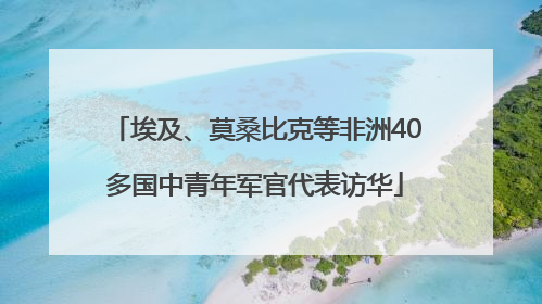 埃及、莫桑比克等非洲40多国中青年军官代表访华