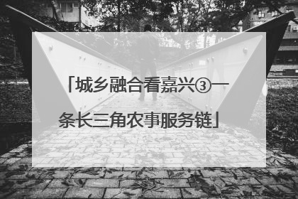 城乡融合看嘉兴③一条长三角农事服务链