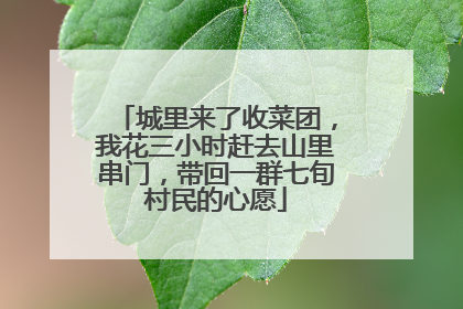 城里来了收菜团，我花三小时赶去山里串门，带回一群七旬村民的心愿
