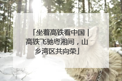 坐着高铁看中国｜高铁飞驰粤湘间，山乡湾区共向荣