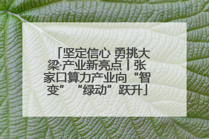 坚定信心 勇挑大梁·产业新亮点丨张家口算力产业向“智变”“绿动”跃升