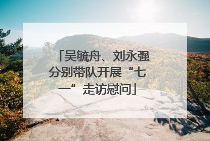 吴毓舟、刘永强分别带队开展“七一”走访慰问