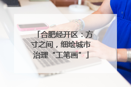 合肥经开区：方寸之间，细绘城市治理“工笔画”