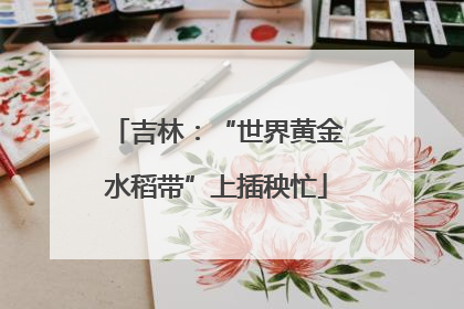 吉林：“世界黄金水稻带”上插秧忙