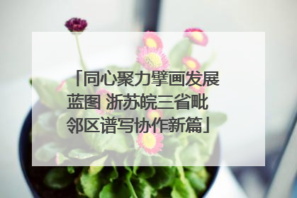 同心聚力擘画发展蓝图 浙苏皖三省毗邻区谱写协作新篇