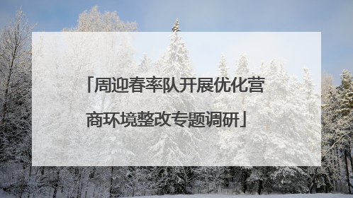 周迎春率队开展优化营商环境整改专题调研