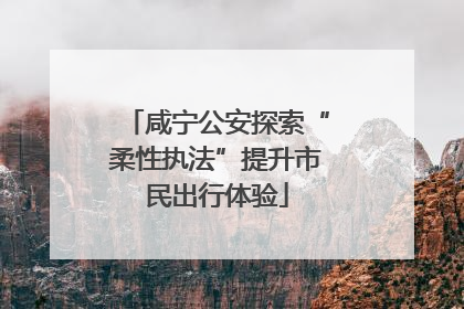 咸宁公安探索“柔性执法”提升市民出行体验