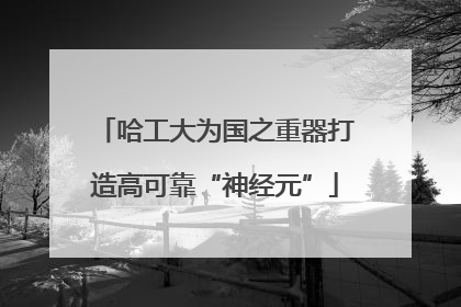 哈工大为国之重器打造高可靠“神经元”