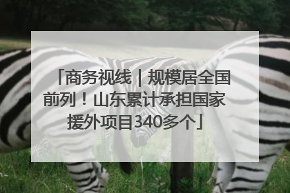 商务视线｜规模居全国前列！山东累计承担国家援外项目340多个
