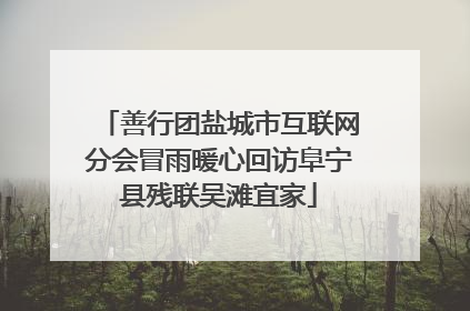 善行团盐城市互联网分会冒雨暖心回访阜宁县残联吴滩宜家