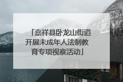 嘉祥县卧龙山街道开展未成年人法制教育专项视察活动