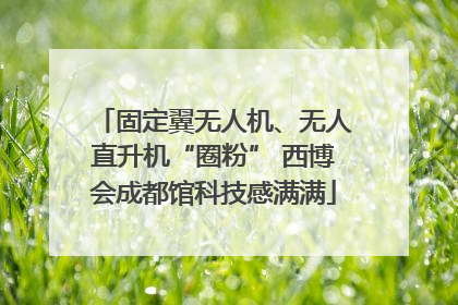 固定翼无人机、无人直升机“圈粉” 西博会成都馆科技感满满