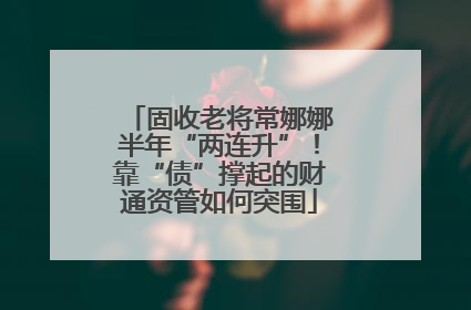 固收老将常娜娜半年“两连升”！靠“债”撑起的财通资管如何突围