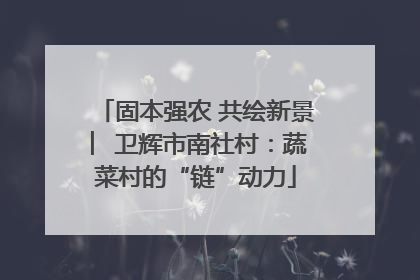 固本强农 共绘新景 ︳卫辉市南社村：蔬菜村的“链”动力