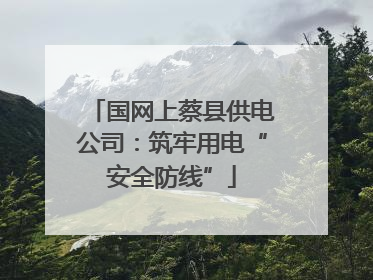 国网上蔡县供电公司：筑牢用电“安全防线”