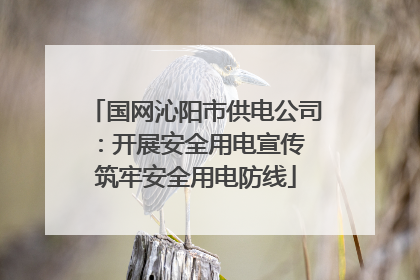 国网沁阳市供电公司：开展安全用电宣传 筑牢安全用电防线