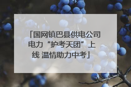 国网镇巴县供电公司 电力“护考天团”上线 温情助力中考