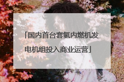 国内首台套氢内燃机发电机组投入商业运营