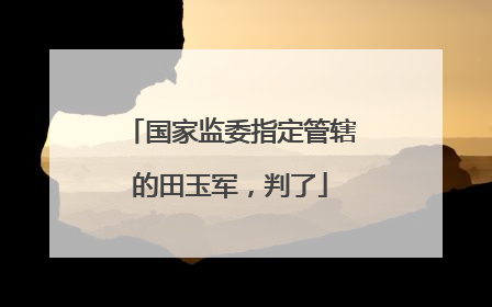 国家监委指定管辖的田玉军，判了