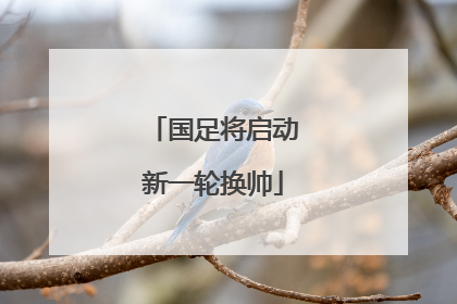 国足将启动新一轮换帅