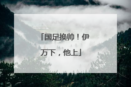 国足换帅！伊万下，他上