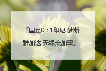国足0∶1印尼 梦断雅加达 无缘美加墨