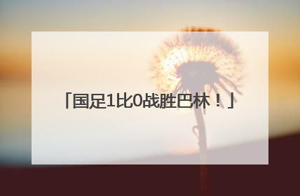 国足1比0战胜巴林！